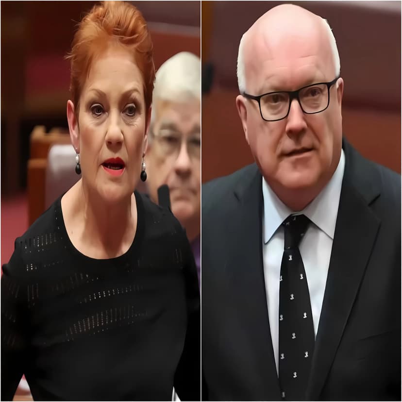 🚨 Labor &amp; Greens Go Absolutely Wild – Pauline Hanson Obliterates George Brandis Over Her Legendary Burqa Stunt In Parliament!💥