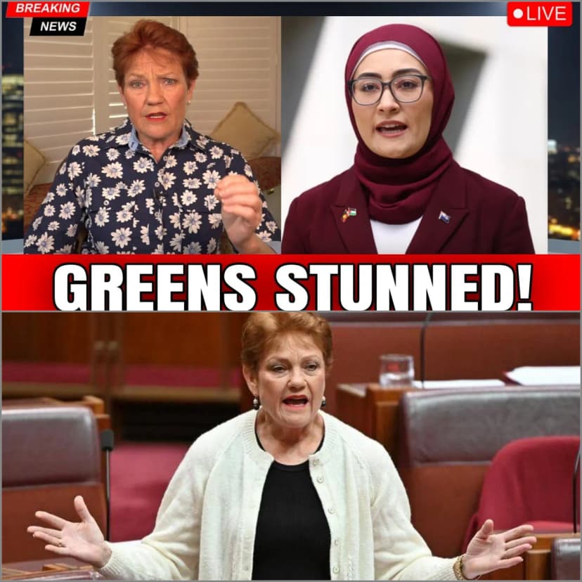 GREENS GO WILD AFTER PAULINE HANSON OBLITERATES FATIMA PAYMAN!!! 🔥🇦🇺💥 Pauline Hanson just detonated the Senate – demanding Fatima Payman prove she meets Section 44 citizenship rules or resign! 😱 Hanson thundered: “Barnaby Joyce, Malcolm Roberts – all forced out over dual citizenship. Same rules apply to you, Fatima. Prove it – no exceptions!” Greens exploded in chaos – screaming “racism,” waving papers, shouting Hanson down. Payman’s allies howled: “This is targeted harassment!” Hanson fired back: “It’s the Constitution, not race. Transparency or hypocrisy!” Chamber in pandemonium – echoes of 2017 crisis. Clips viral, patriots roar: “No one above the law!” Greens in furious meltdown, Hanson unbreakable: “Aussies demand answers!” Senate fractures in rage – Hanson’s bomb ignites the fire. Accountability thunders louder! ⚡