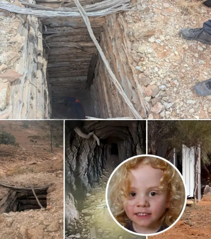 🚨The mystery deepens in the Gus Lamont case: Newly released phσtos reveal what police encountered after deploying search dogs and a helicopter in the hᴜnt for the missing boy.