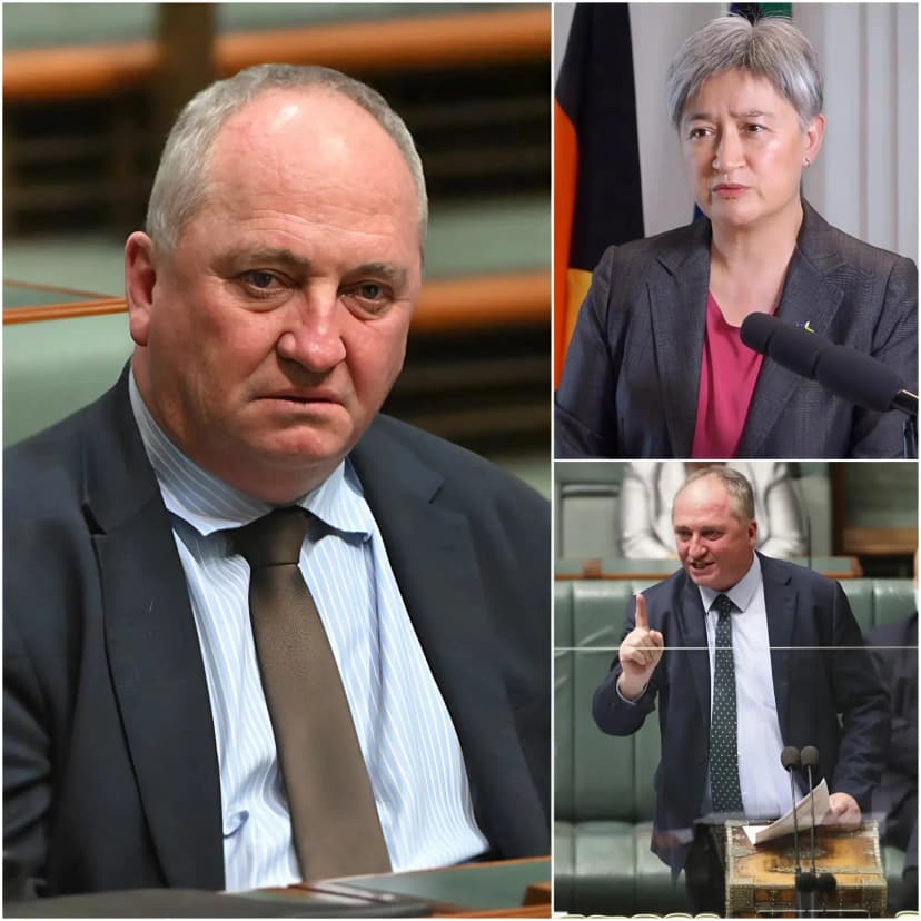 “Only Those Born In Australia Should Be Allowed To Hold Power, And Dual Citizenship Must Be Banned In Parliament.” – Barnaby Joyce Slammed A Folder Down On The Desk In The Australian Parliament As He Introduced A Shocking New Bill. Joyce Argued That The Rule Would Protect “absolute Loyalty To The Nation” And Prevent Any Potential Conflicts Of Interest Linked To Holding A Second Nationality.
