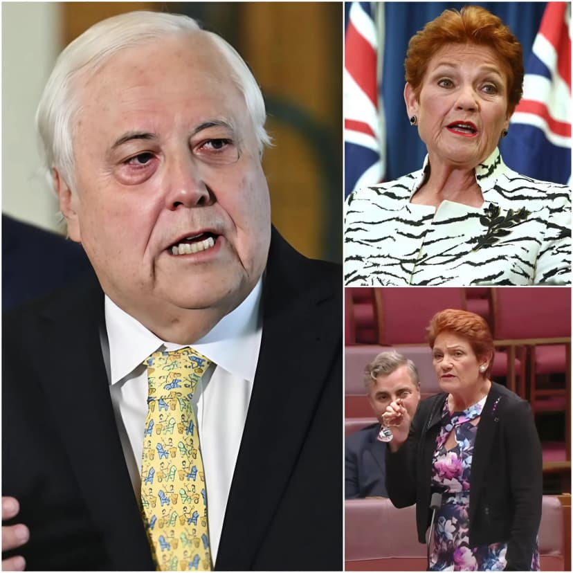 🔥 “REMOVE ONE NATION FROM AUSTRALIAN POLITICS” — Australia’s political scene suddenly heated up after Clive Palmer publicly launched a sharp criticism of Pauline Hanson’s One Nation and its leader, Pauline Hanson, during a controversial interview.