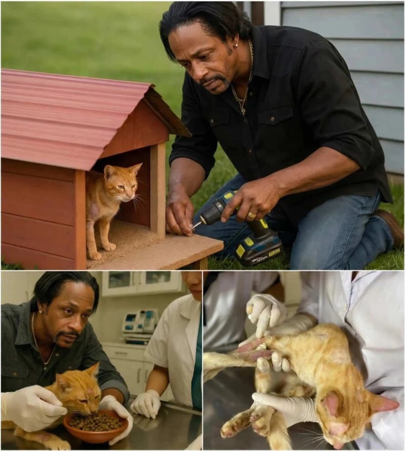 Katt Williams, the flamboyant frontman of Aerosmith, has pledged a staggering one million dollars to build a state-of-the-art cat rescue station, and the buzz began long before the first shovel hit the ground: