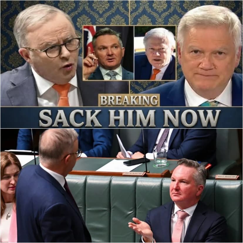 SHOCK ON LIVE TV: Chris Bowen Left STUNNED as Andrew Bolt Urges Albanese to Sack Him Immediately.
