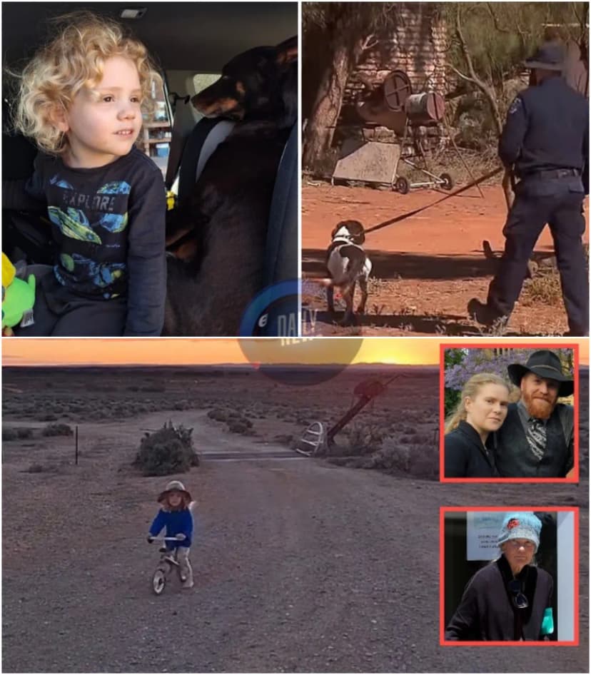 🚨 “WE OVERLOOKED THIS CRUCIAL DETAIL!” — Fresh Footage in the Case of Missing Child Gus Lamont Sparks Urgent Police Review… As One Tiny Clue Suddenly Changes the Direction of the Investigation