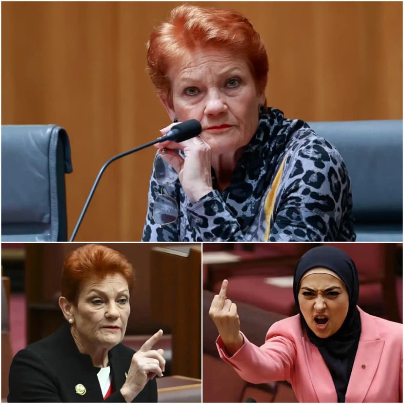 🚨 Fatima Payman Told Pauline Hanson “God Will NEVER Forgive You’”— Just 36 Seconds Later, Hanson Hit Back With ICE-COLD Facts That Left Her Speechless.