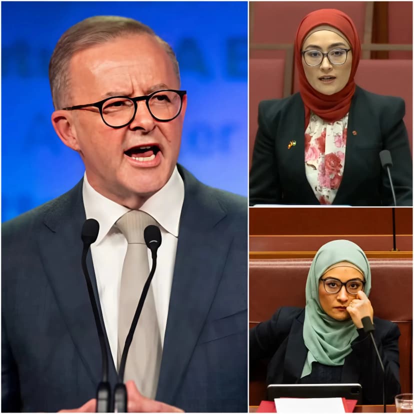 “SHE MUST LEAVE THAT SEAT IMMEDIATELY” — Anthony Albanese has sent shockwaves through the political landscape after reportedly pushing a controversial legal proposal aimed at removing Fatima Payman from Parliament. The proposed landmark bill would restrict the right to hold the positions of Prime Minister and Member of Parliament ONLY to individuals born in Australia.