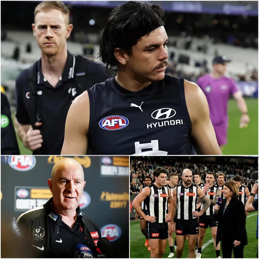 JUST IN – 30 MINUTES AGO 🚨 After Elijah Hollands was urgently hospitalised, Caroline Wilson dropped a devastating bombshell that rocked the AFL world: multiple Collingwood players have revealed that Hollands openly admitted to them he had been drinking alcohol before and during the game.