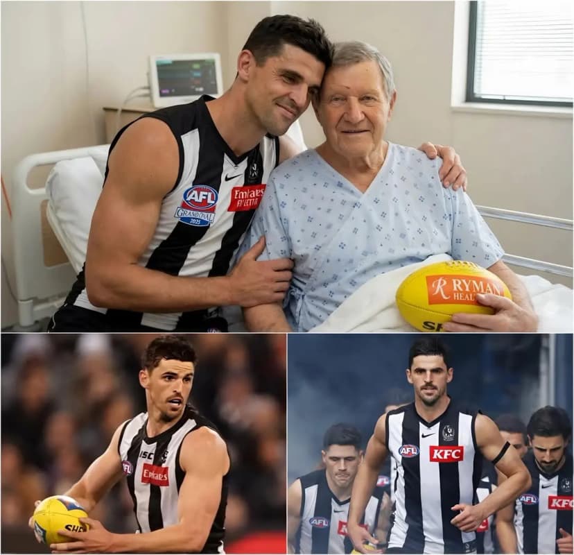 💔🥲OUR HEARTS ARE BROKEN! 30 minutes ago, Collingwood Football Club sent their condolences to player Scott Pendlebury after he received sad news about his grandfather, and Scott Pendlebury has confirmed this…