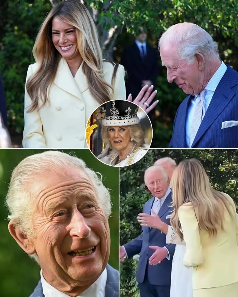 QUEEN CAMILLA VANISHED INTO THE BACKGROUND AS KING CHARLES STOLE THE SPOTLIGHT — TURNING ON THE CHARM, PLAYING THE PERFECT GENTLEMAN AND LEAVING THE U.S. FIRST LADY SHAKING WITH LAUGHTER.