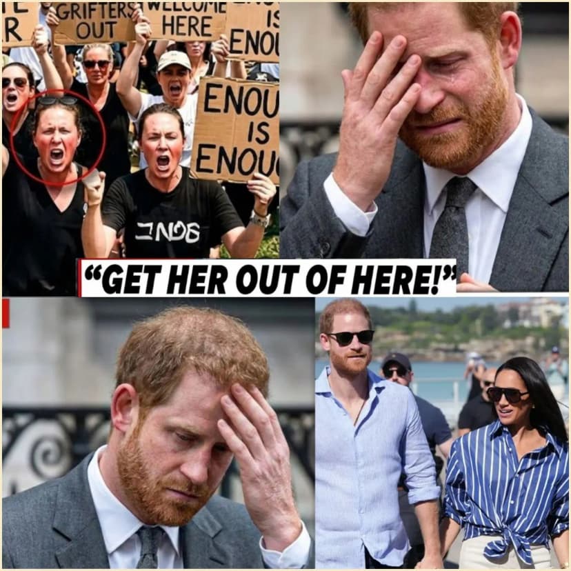 ✨ THE BITTER REALITY! Prince Harry and Meghan Markle have just tasted “bitter defeat” in Australia as polling reveals a staggering 81% of the public has flatly rejected them, turning their luxury tour into an unprecedented PR disaster.