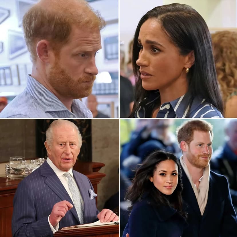 The “rift” is irreparable. The already frozen relationship between the Sussexes and the British Royal Family has just reached a new, bitter level, sending a clear message that the gap between them is now a chasm.