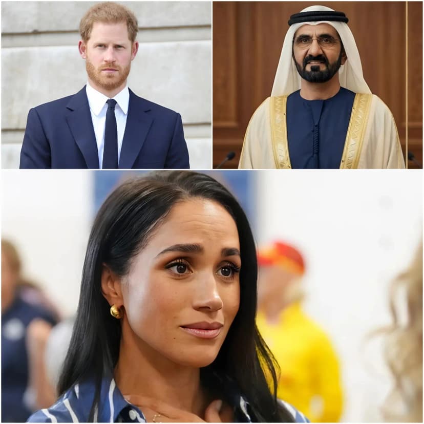 🔥 MEGHAN EXPELLED FROM DUBAI: The world is in total shock over reports that a powerful Sheikh has just ordered Meghan Markle to be “kicked out” of his domain immediately, triggering an explosive and uncontrollable outburst from Prince Harry on the spot, but behind this diplomatic scandal lies a “jaw-dropping” truth regarding the viral evidence photos currently flooding the internet… 👇