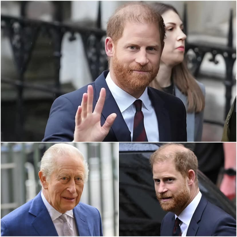 🚨 THE GAME IS OVER – Harry has officially become an outsider after a call with King Charles.