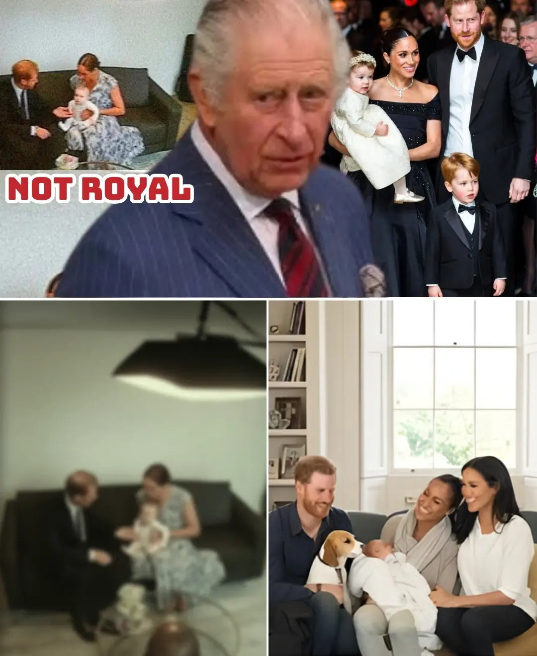 “THOSE CHILDREN HAVE BEEN QUIETLY DELETED FROM EVERY MEANINGFUL ROYAL LEDGER LIKE A BAD LINE OF COKE WIPED OFF A BALMORAL COFFEE TABLE….”