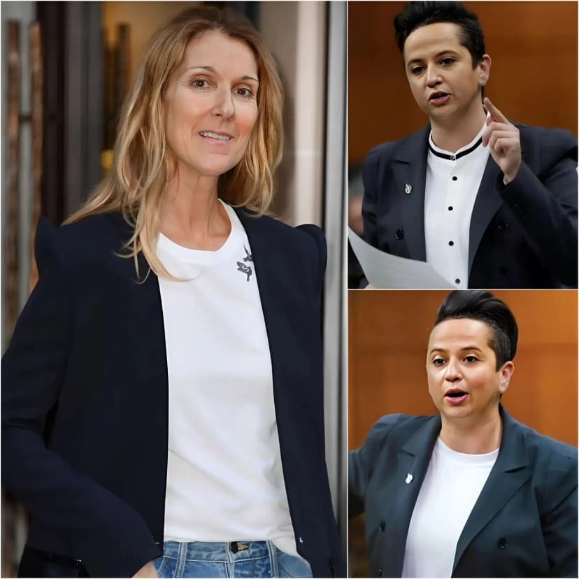 “DO NOT INSULT MY FAMILY AND MY COUNTRY!” Céline Dion stunned the entire press conference room following controversial remarks made by Melissa Lantsman.