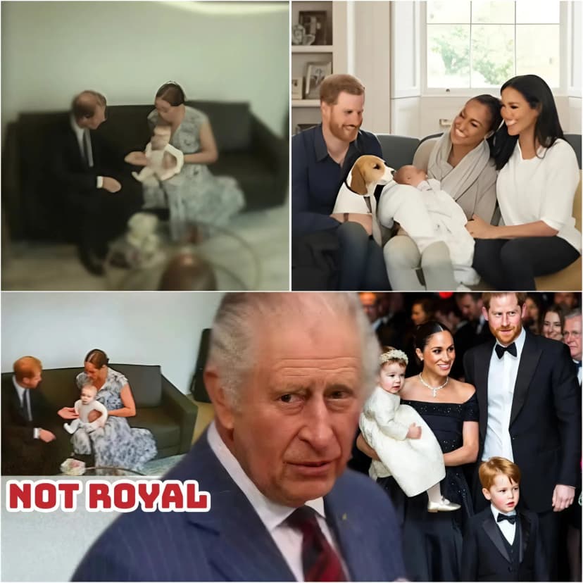 “THOSE CHILDREN HAVE BEEN QUIETLY DELETED FROM EVERY MEANINGFUL ROYAL LEDGER LIKE A BAD LINE OF COKE WIPED OFF A BALMORAL COFFEE TABLE….”
