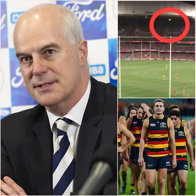 BREAKING NEWS: After hours of investigation, AFL chairman Craig Drummond revealed that leaked investigative reports exposed the truth behind the “crazy” decision by the Arbitration Committee (ARC) that nearly cost the Adelaide Crows their historic victory at Showdown 59.