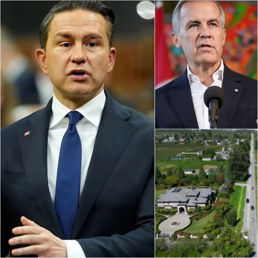 Pierre Poilievre officially exposes a dark conspiracy, accusing Carney of secretly instructing a legal team to “stand down” and fail to defend BC’s property rights in the shocking Cowichan mega-case. Watch the full 10-minute exposé video below 👇