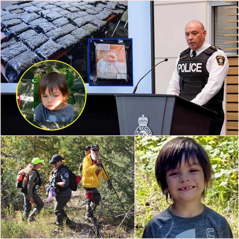 SAD NEWS IN CANADA 😭💔 : “WITH GREAT SADNESS WE ANNOUNCE THIS” Police Share a Heartbreaking Update on the Missing 6-Year-Old Boy in Canada’s Rocky Mountains 😞 Darius Macdougall, from Alberta, was last seen walking with his family near Island Lake Campground, two miles south of Crowsnest Pass … READ MORE👇