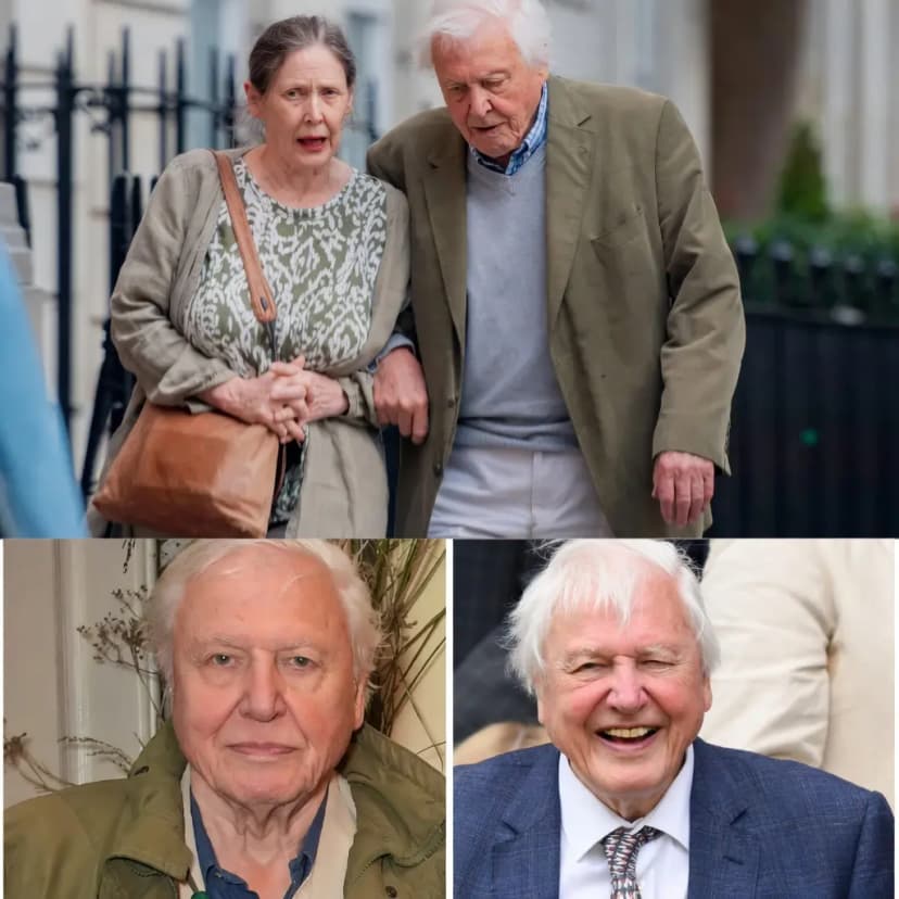 100 years, one legend, and an eternal love for Earth… Can you believe it? The man who has brought the entire wilderness into our living rooms for decades is about to turn 100!