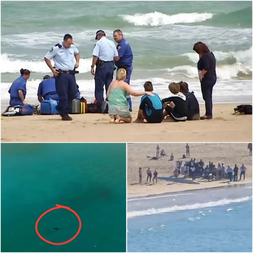 🚨 Horror Shark Attack at Coogee Beach, Sydney: A woman believed to be in her 30s has been seriously injured after being bitten by a shark while swimming close to shore.